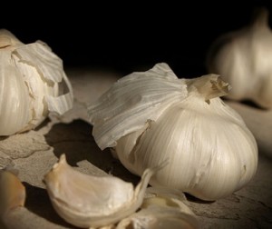 garlic garlic