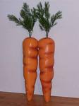 carrots 1 carrots 1
